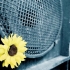 speaker_flower1